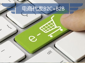 电商代发B2C+B2B